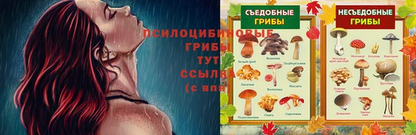стафф Мегион